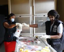 WHO Liberia staff review packaging information for specimens from victims who died after attending a wake and funeral on 21/22 April. These additional specimens were shipped on 12 May for investigations in Europe and Africa.