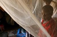 Child in front of insecticide treated bed net EPA/K. Ludbroo