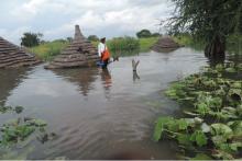 A collapsed Tukuls in Malual East payam, former Northern Bahr el Ghazal State. Photo: Partner.