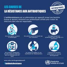 Il faut réfléchir à deux fois avant toute consommation des antibiotiques