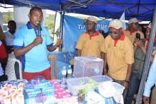 Exhibition of repellent products  against mosquitoes