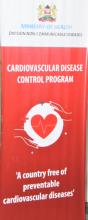 CVDs banner: Call to address the link between the use of tobacco products and heart and other cardiovascular diseases