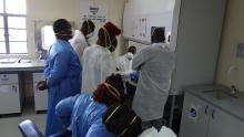 Demonstration on testing specimen for TB using GenExpert machine