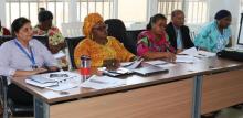 Cross session of stakeholders during the Maternal and Neonatal care Task-sharing appraisal meeting in Monrovia