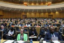 Participants attending the First FAO/WHO/AU International Food Safety Conference