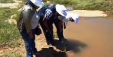 Training workshop participants, in the field, examining stagnant water bodies for malaria mosquito breeding