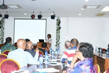 WHO Representative to Eritrea, Dr Josephine Namboze addressing the participants on MPDSR