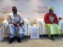 Ministers of Health agree next steps for Sahel Malaria Elimination Initiative