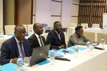 WHO experts Dr. Emmanuel Dzotsi, Dr. Lubambo Demba, Dr. Emmanuel Musa and WR Dr. Teniin Gakuruh at the opening of the validation meeting