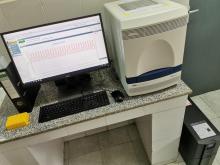 Diagnosing infectious diseases using PCR