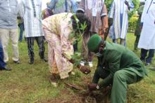 Plantation d’arbres par le Ministre de la santé