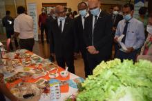 Commemoration of the World Diabetes Day 2020: Display of Healthy Food