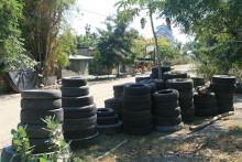 The Ae. aegypti mosquito lays its eggs in water-filled containers like these tyres in and around human dwellings