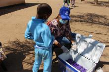 Pupil at Pandamatenga Primary School handing over stool sample for assessment