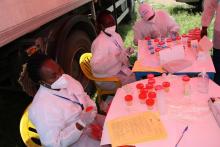 Des agents de laboratoire commis au dépistage gratuit et volontaire de la population à Kikwit (Province du Kwilu), en marge des activités de la Journée mondiale de lutte contre la tuberculose