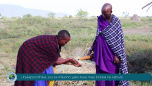 Two Maasai helping each other to handwash