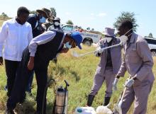 Dr Sagoe-Moses and Hon. Wakudumo observing one of the larviciding sites in Mayana village in the Kavango East Region. 