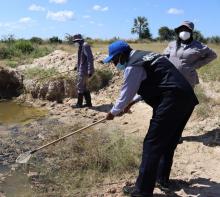 Dr Sagoe-Moses observing one of the larviciding sites in Mayana village in the Kavango East Region. 