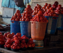 A tomato seller 