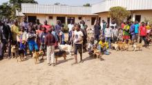 La République Centrafricaine a conduit une campagne de vaccination gratuite contre la rage pour les animaux de compagnie
