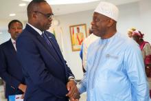 Le Nouveau Représentant de l'OMS en Guinée reçu par le Chef de la diplomatie guinéenne