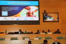 African leaders declare commitment to build momentum for routine immunization recovery in Africa.