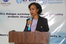 WHO Ethiopia, partners push for impactful fiscal measures against premature deaths from NCDs