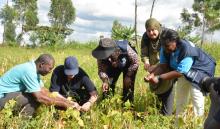 WHO team appreciate  Nyota  beans harvest  at  Joel Omwoi's farm