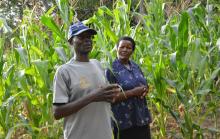 Gilbert Ombok and his wife speak about the gains in health and income by switching to food farming from tobacco