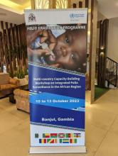Multi-country Capacity Building Workshop on Integrated Polio Surveillance in the African Region