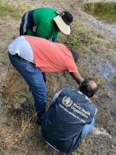 Dr Pandey (right) WHO technical officer for tropical vector-borne diseases, and a team exploring the breeding grounds of mosquitoes