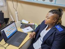 An end-user caught navigating the Influenza Surveillance Platform
