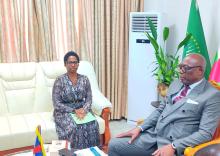 Rencontre périodique entre le Premier Ministre, Chef du Gouvernement et la Représentante de l’OMS en République centrafricaine