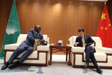 WHO and China Explore Strengthened Collaboration Through the African Union Health Architecture