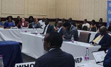 Participants