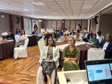 WHO supports Mauritius in advancing climate-resilient health systems: new milestone reached with validation of gap analysis and institutional framework