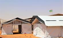 Fièvre de la Vallée du Rift en Mauritanie : agir maintenant pour prévenir et surveiller efficacement