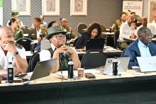  File information	Weight	Operations Participats engage in practical learning