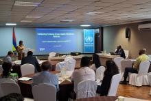 WHO supports Mauritius in undertaking a comprehensive Health Labour Market Analysis