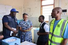 Inspecting the cold chains and data quality