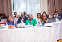 WHO Africa and African Union step up joint action on neglected tropical diseases