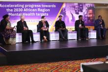 Accelerating regional action to advance mental health care in Africa