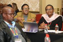 Accelerating regional action to advance mental health care in Africa
