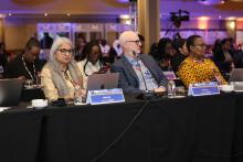 Accelerating regional action to advance mental health care in Africa
