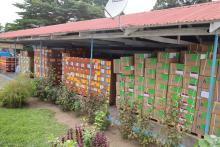 L’OMS renforce la riposte sanitaire au Congo avec 25 tonnes de médicaments