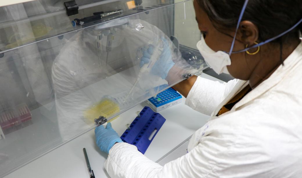 How Ebola is helping the Democratic Republic of the Congo ...