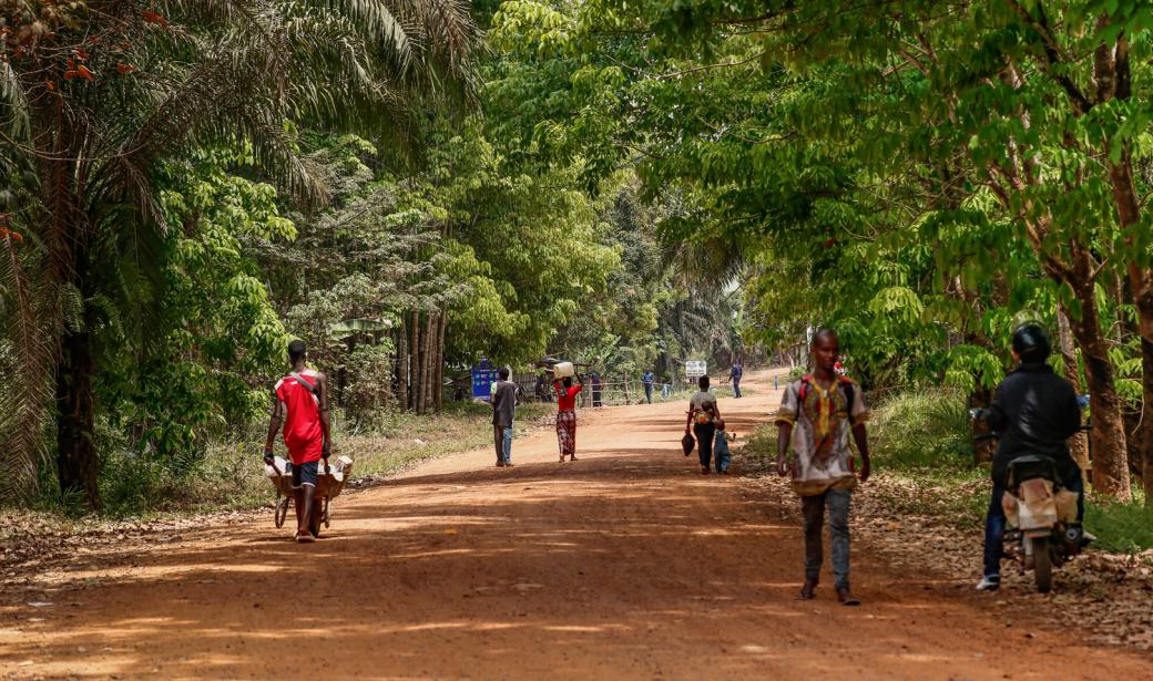 Curbing Ebola outbreak in Guinea