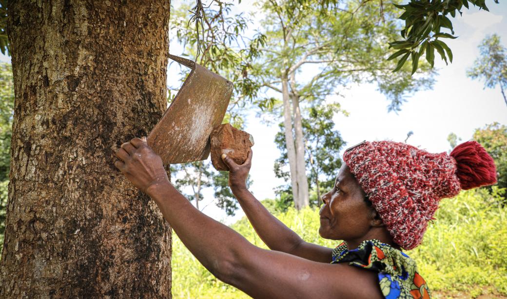 The village chief, Neli Chimenya, who immediately called the rest of the leadership (traditional leaders, care givers) using a homemade bell to debate on the situation.