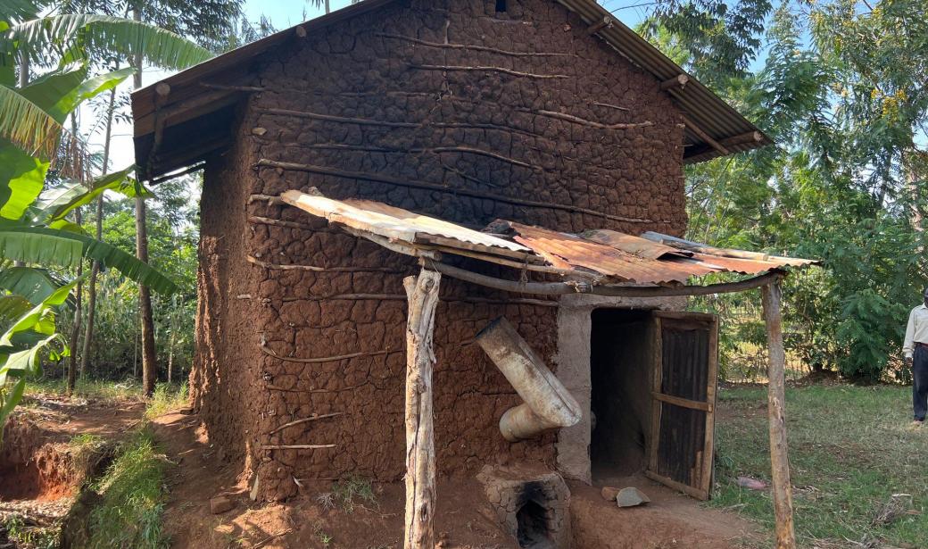 Switching off tobacco farming for beans in Kenya