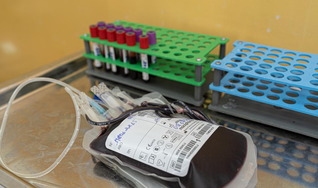 Le Congo a presque doublé les dons de sang en trois ans